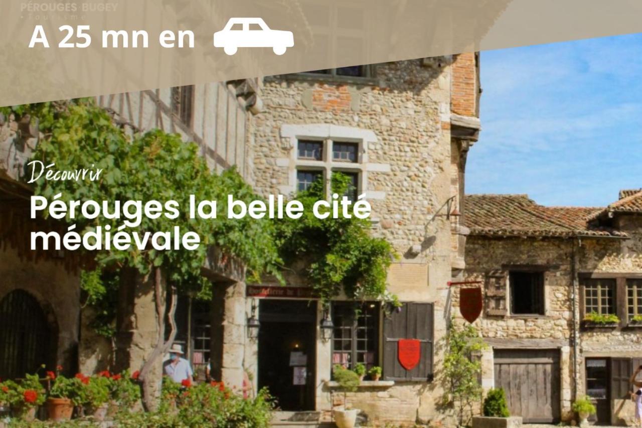 L'Emeraude - 1 A 4P - Wifi Fibre - Parking Gratuit Pont-dʼAin Zewnętrze zdjęcie