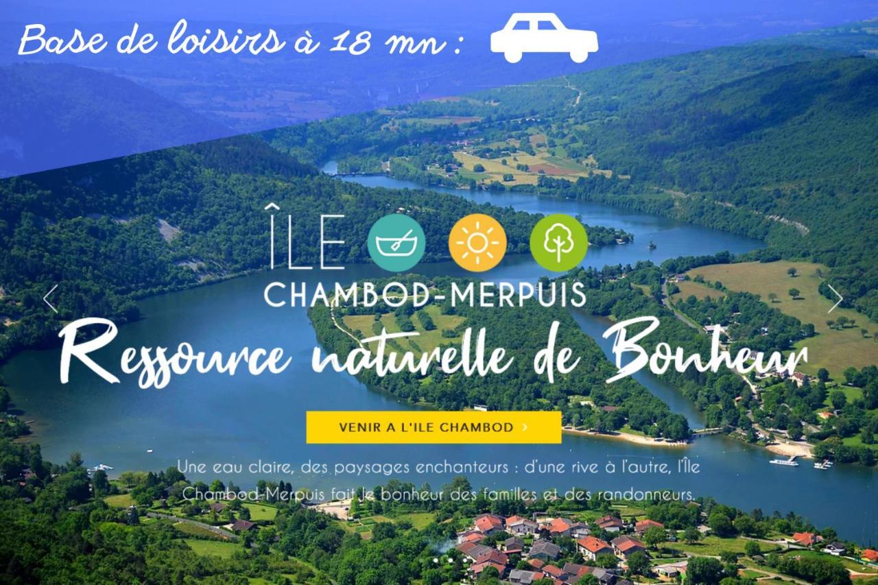 L'Emeraude - 1 A 4P - Wifi Fibre - Parking Gratuit Pont-dʼAin Zewnętrze zdjęcie