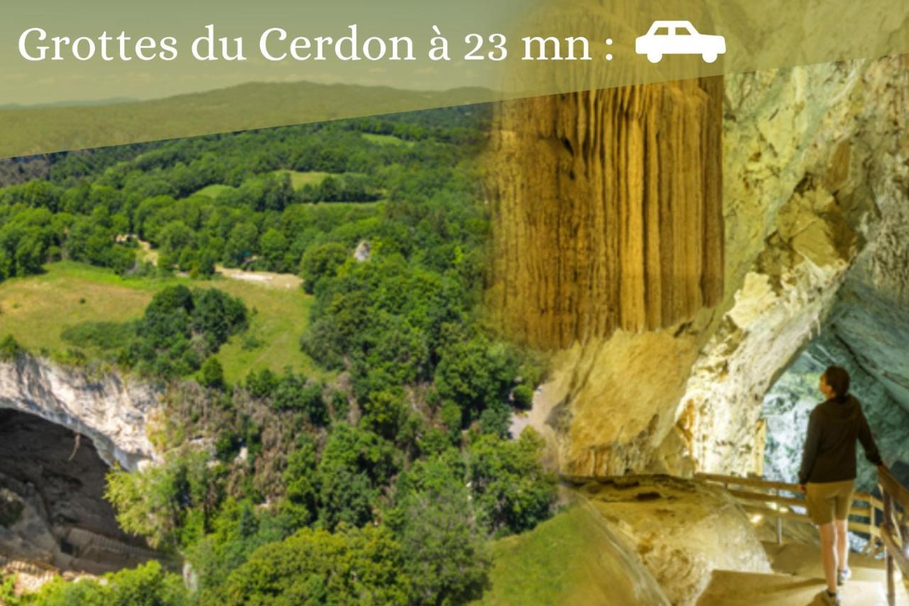L'Emeraude - 1 A 4P - Wifi Fibre - Parking Gratuit Pont-dʼAin Zewnętrze zdjęcie