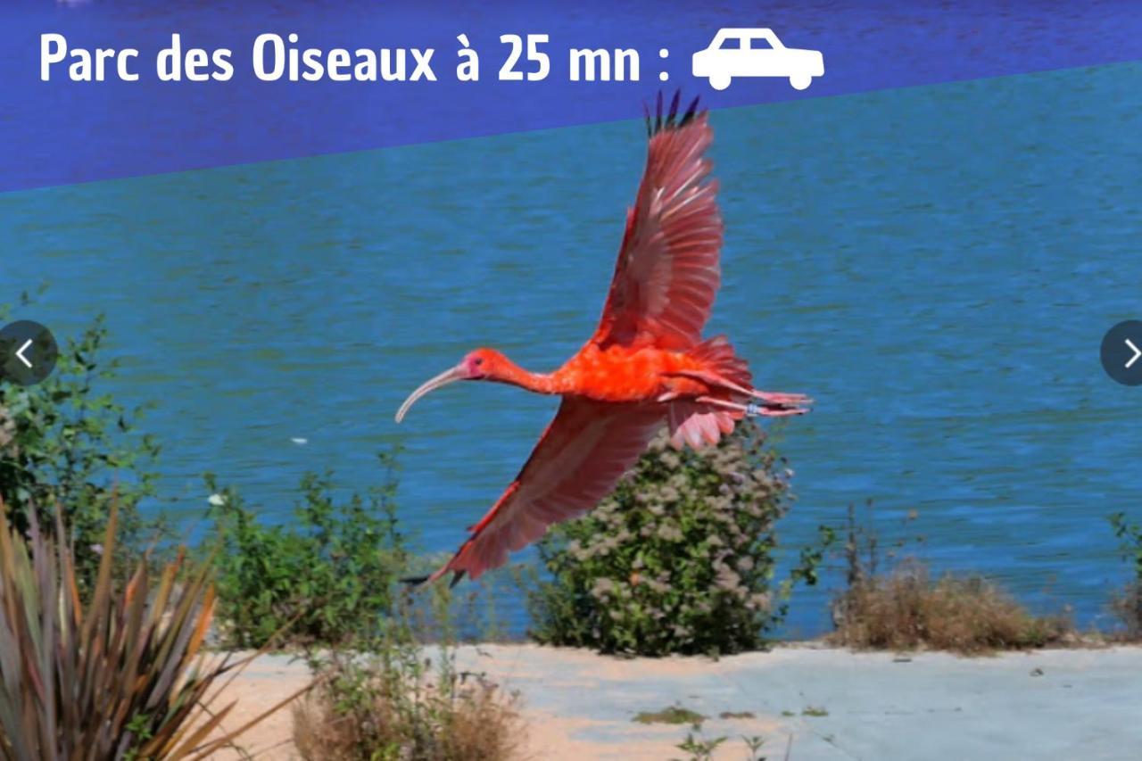 L'Emeraude - 1 A 4P - Wifi Fibre - Parking Gratuit Pont-dʼAin Zewnętrze zdjęcie